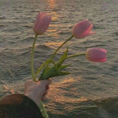 开云·体育平台